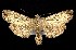  ( - CNCNoctuoidea7688)  @13 [ ] Unspecified (default): All Rights Reserved  Unspecified Unspecified