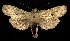  ( - CNCNoctuoidea7689)  @13 [ ] Unspecified (default): All Rights Reserved  Unspecified Unspecified