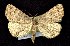  ( - CNCNoctuoidea7751)  @14 [ ] Unspecified (default): All Rights Reserved  Unspecified Unspecified
