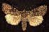  ( - CNCNoctuoidea7818)  @14 [ ] Unspecified (default): All Rights Reserved  Unspecified Unspecified