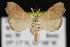  ( - CNCNoctuoidea12839)  @14 [ ] CreativeCommons - Attribution (2010) Unspecified Centre for Biodiversity Genomics
