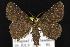  ( - CNCNoctuoidea12850)  @14 [ ] Unspecified (default): All Rights Reserved  Unspecified Unspecified