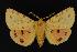  ( - CNCNoctuoidea13628)  @14 [ ] Unspecified (default): All Rights Reserved  Unspecified Unspecified