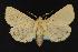  ( - CNCNoctuoidea13677)  @13 [ ] Unspecified (default): All Rights Reserved  Unspecified Unspecified