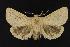  ( - CNCNoctuoidea13684)  @14 [ ] Unspecified (default): All Rights Reserved  Unspecified Unspecified