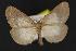  ( - CNCNoctuoidea13824)  @13 [ ] Unspecified (default): All Rights Reserved  Unspecified Unspecified