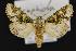  ( - CNCNoctuoidea13900)  @13 [ ] Unspecified (default): All Rights Reserved  Unspecified Unspecified