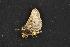  ( - CNCNoctuoidea13954)  @12 [ ] Unspecified (default): All Rights Reserved  Unspecified Unspecified
