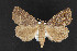  ( - CNC LEP 00047426)  @14 [ ] Unspecified (default): All Rights Reserved  Unspecified Unspecified