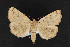  ( - CNC LEP 00047427)  @14 [ ] Unspecified (default): All Rights Reserved  Unspecified Unspecified