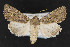  ( - CNC LEP 00047449)  @14 [ ] Unspecified (default): All Rights Reserved  Unspecified Unspecified