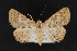  ( - CNC LEP 00047461)  @14 [ ] Unspecified (default): All Rights Reserved  Unspecified Unspecified