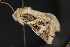  ( - CNC LEP 00047465)  @12 [ ] Unspecified (default): All Rights Reserved  Unspecified Unspecified