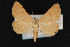  ( - CNC LEP 00047472)  @13 [ ] Unspecified (default): All Rights Reserved  Unspecified Unspecified