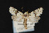  ( - CNC LEP 00047477)  @13 [ ] Unspecified (default): All Rights Reserved  Unspecified Unspecified