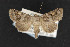  ( - CNC LEP 00047481)  @14 [ ] Unspecified (default): All Rights Reserved  Unspecified Unspecified