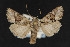  ( - CNC LEP 00047490)  @12 [ ] Unspecified (default): All Rights Reserved  Unspecified Unspecified