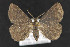  ( - CNC LEP 00047497)  @14 [ ] Unspecified (default): All Rights Reserved  Unspecified Unspecified