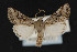  ( - CNC LEP 00047504)  @11 [ ] Unspecified (default): All Rights Reserved  Unspecified Unspecified