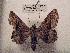  ( - NOC13996)  @13 [ ] Unspecified (default): All Rights Reserved  Unspecified Unspecified