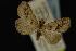  ( - NOC14005)  @13 [ ] Unspecified (default): All Rights Reserved  Unspecified Unspecified