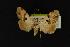  ( - NOC14006)  @13 [ ] Unspecified (default): All Rights Reserved  Unspecified Unspecified