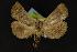  ( - NOC14007)  @13 [ ] Unspecified (default): All Rights Reserved  Unspecified Unspecified