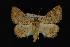  ( - NOC14012)  @13 [ ] Unspecified (default): All Rights Reserved  Unspecified Unspecified