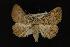  ( - NOC14015)  @12 [ ] Unspecified (default): All Rights Reserved  Unspecified Unspecified