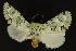 ( - NOC14017)  @14 [ ] Unspecified (default): All Rights Reserved  Unspecified Unspecified