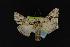  ( - NOC14022)  @14 [ ] Unspecified (default): All Rights Reserved  Unspecified Unspecified