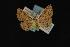  ( - NOC14023)  @13 [ ] Unspecified (default): All Rights Reserved  Unspecified Unspecified