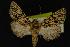  ( - NOC14036)  @14 [ ] Unspecified (default): All Rights Reserved  Unspecified Unspecified