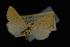  ( - NOC14042)  @13 [ ] Unspecified (default): All Rights Reserved  Unspecified Unspecified