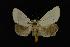  ( - NOC14044)  @13 [ ] Unspecified (default): All Rights Reserved  Unspecified Unspecified