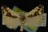  ( - NOC14068)  @12 [ ] Unspecified (default): All Rights Reserved  Unspecified Unspecified