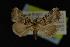  ( - NOC14069)  @13 [ ] Unspecified (default): All Rights Reserved  Unspecified Unspecified