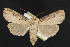  ( - NOC14287)  @13 [ ] Unspecified (default): All Rights Reserved  Unspecified Unspecified