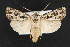  ( - NOC14288)  @12 [ ] Unspecified (default): All Rights Reserved  Unspecified Unspecified