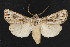  ( - NOC14289)  @14 [ ] Unspecified (default): All Rights Reserved  Unspecified Unspecified