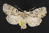  ( - NOC14292)  @14 [ ] Unspecified (default): All Rights Reserved  Unspecified Unspecified