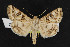 ( - NOC14302)  @13 [ ] Unspecified (default): All Rights Reserved  Unspecified Unspecified