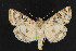  ( - NOC14303)  @14 [ ] Unspecified (default): All Rights Reserved  Unspecified Unspecified