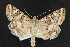  ( - NOC14305)  @14 [ ] Unspecified (default): All Rights Reserved  Unspecified Unspecified