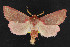  ( - NOC14311)  @13 [ ] Unspecified (default): All Rights Reserved  Unspecified Unspecified