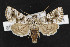  ( - NOC14318)  @14 [ ] Unspecified (default): All Rights Reserved  Unspecified Unspecified