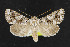  ( - NOC14319)  @14 [ ] Unspecified (default): All Rights Reserved  Unspecified Unspecified