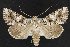  ( - NOC14321)  @14 [ ] Unspecified (default): All Rights Reserved  Unspecified Unspecified