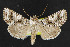  ( - NOC14322)  @14 [ ] Unspecified (default): All Rights Reserved  Unspecified Unspecified
