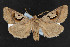  ( - NOC14328)  @14 [ ] Unspecified (default): All Rights Reserved  Unspecified Unspecified